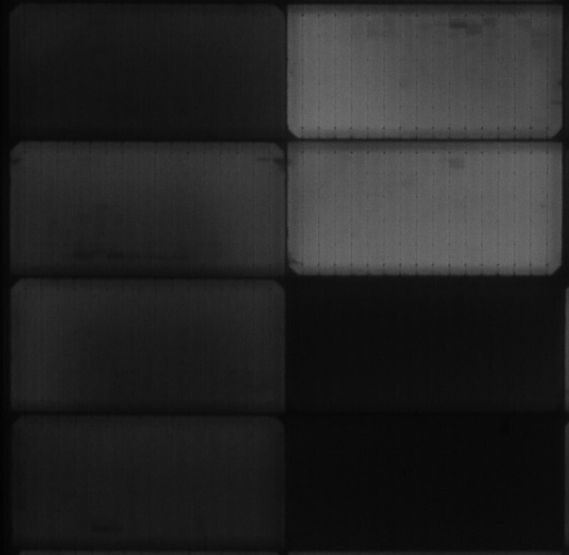 UVID Test Result 1